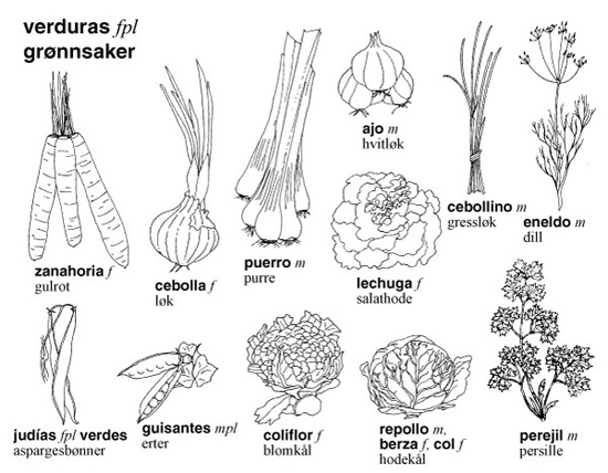 legg-igjen-en-kommentar-avbryt-svar